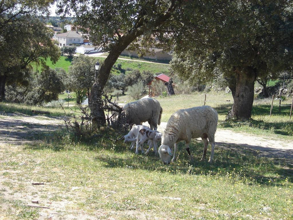 Nuno Gomez Bungalows Las Majadas מראה חיצוני תמונה